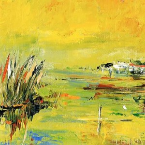 360x360_2009070710_CoucherdesoleilenCamargue_jpgTogaf