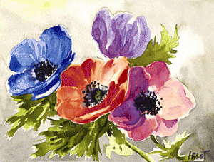 anemones