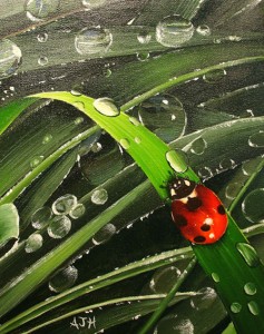 coccinelle-pluieG