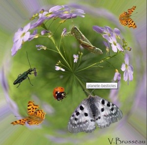 Bestioles