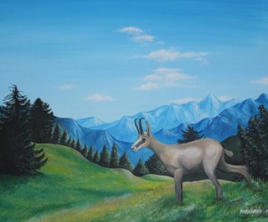 chamois
