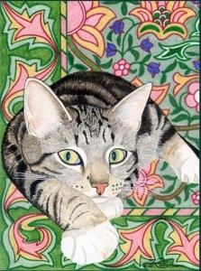Chat