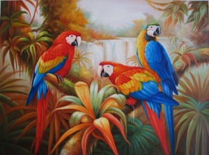 Perroquets