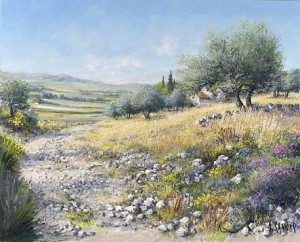 chemin-en-provence D.Sannier