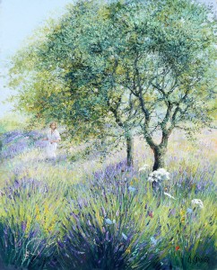 oliviers lavande D.Sannier