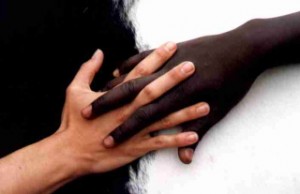 mains noire et blanche