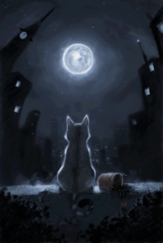 chat-lune-nuit-fb-1-juillet-13